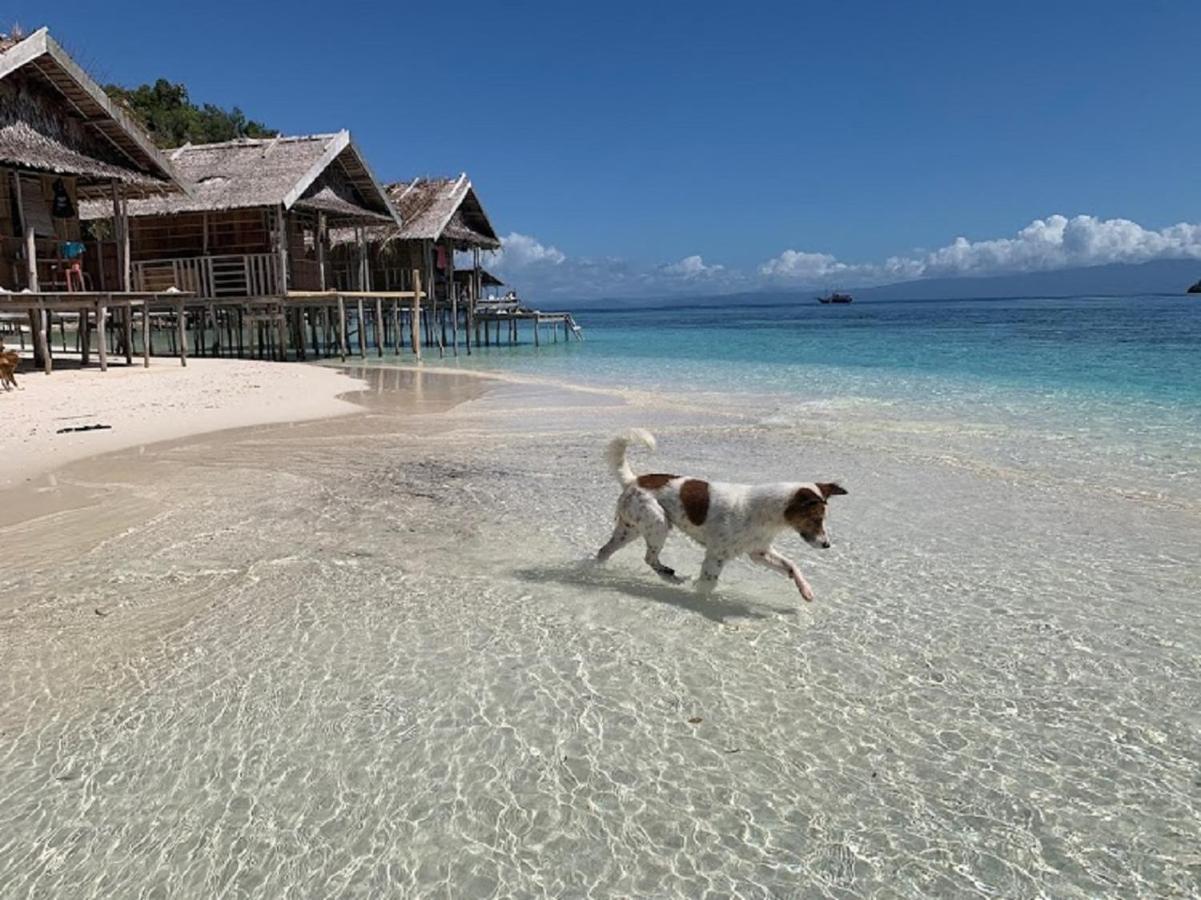 Nus Homestay Raja Ampat Kri Kültér fotó